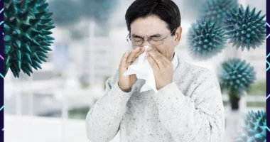 Drainage System and Hay Fever: Understanding the Connection
