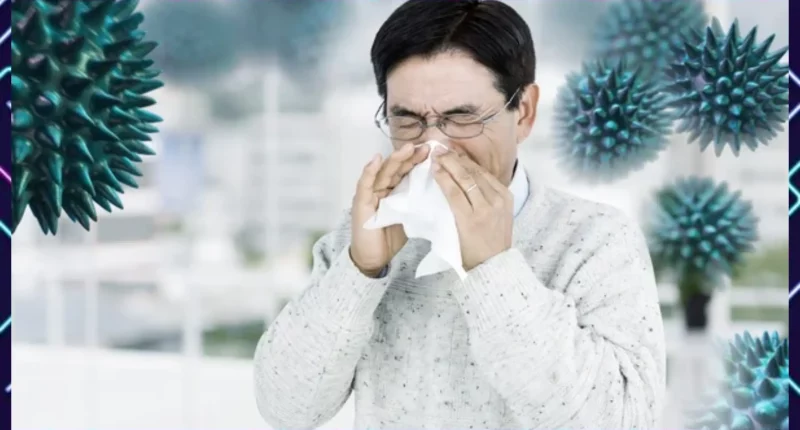 Drainage System and Hay Fever: Understanding the Connection