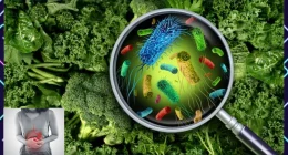 Bacteria Food Poisoning: The Safety Secret Almost No One Knows