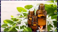 Neroli Essential Oil: The Secret to Glowing Skin and Stress Relief