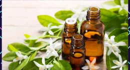 Neroli Essential Oil: The Secret to Glowing Skin and Stress Relief