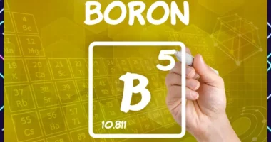 Boron: A Mighty Micronutrient for Bone Health