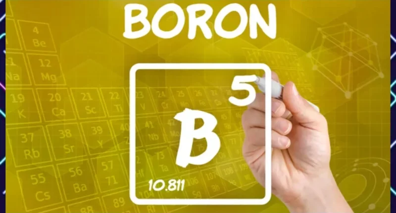 Boron: A Mighty Micronutrient for Bone Health