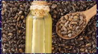 10 Castor Oil Health Benefits Experts Can Vouch For