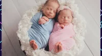 Two babies nestled together in a basket demonstrating Twins Birth