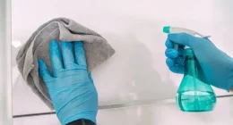 How often should you clean and disinfect your home