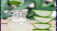 6 Impressive Health Benefits Of Aloe Vera You Didn't Know About!