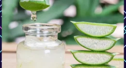6 Impressive Health Benefits Of Aloe Vera You Didn't Know About!