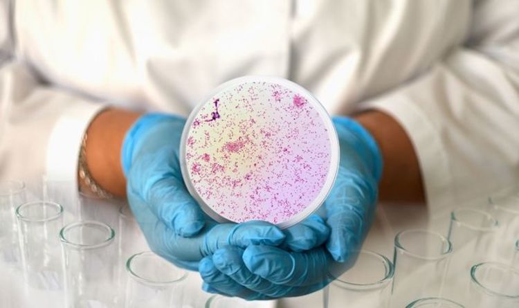 Super Gonorrhoea Warning Antibiotic Resistant Std Spotted In Uk