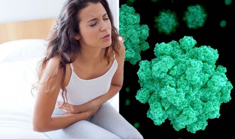 norovirus-outbreaks-of-vomiting-bug-have-doubled-symptoms-to-spot