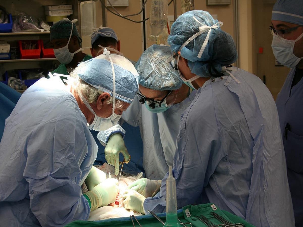 Deep Brain Surgery: Which Patients Are Eligible For DBS? Read The Procedure for DBS And More