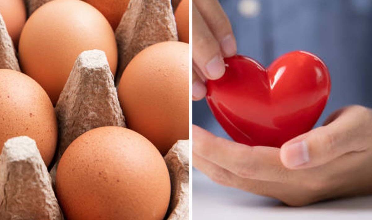 High cholesterol 'It should be fine for most people' to eat eggs