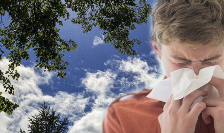 high-pollen-count-warning-for-today-uk-hay-fever-sufferers-ready-for