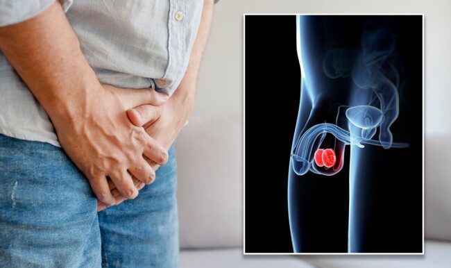 Testicular Cancer Symptoms Lump In Testicle And Other Signs Of The