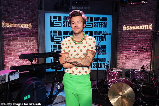 Harry Styles Reveals He Displays His Bare Bum Bum But No Peen In Saucy Scenes For My