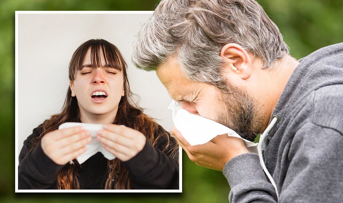 Hay fever vs a cold How to tell the difference using these four key
