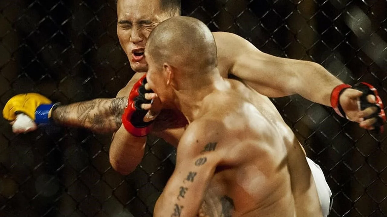 Why you should try combat sports this year