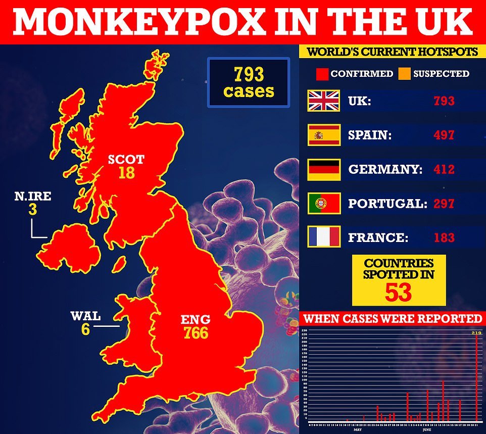 Gay and bisexual men WILL be offered monkeypox vaccine in targeted ...