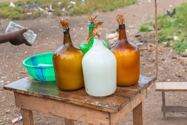 Palm Wine Health Benefits