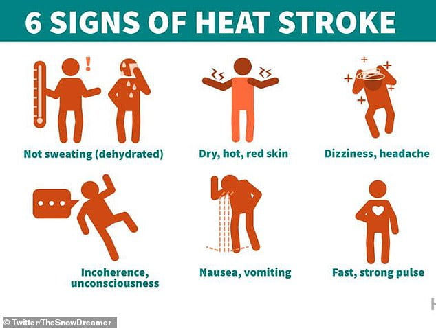 Heat stroke and heat exhaustion symptoms: Plus how to treat it as ...