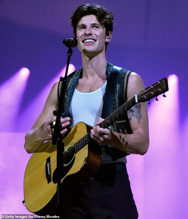 Shawn Mendes says he has reached a 'breaking point' and postpones