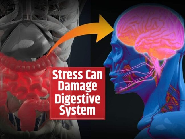 can-stress-affect-your-digestive-system-reduce-blood-and-oxygen-flow