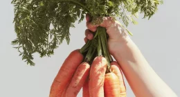 Does Carrot Have Vitamin B12? Key Vitamins In This Vegetable Explained