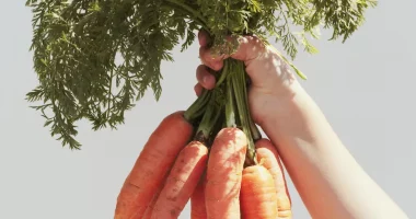 Does Carrot Have Vitamin B12? Key Vitamins In This Vegetable Explained