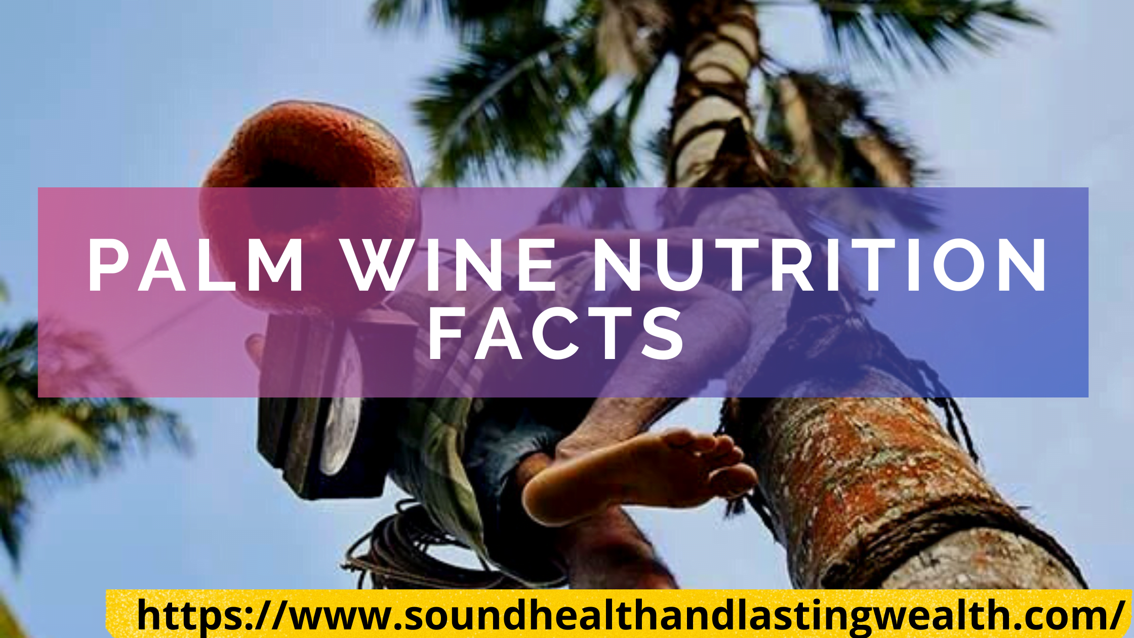 Palm Wine Nutrition Facts You Should Know For Health Benefits