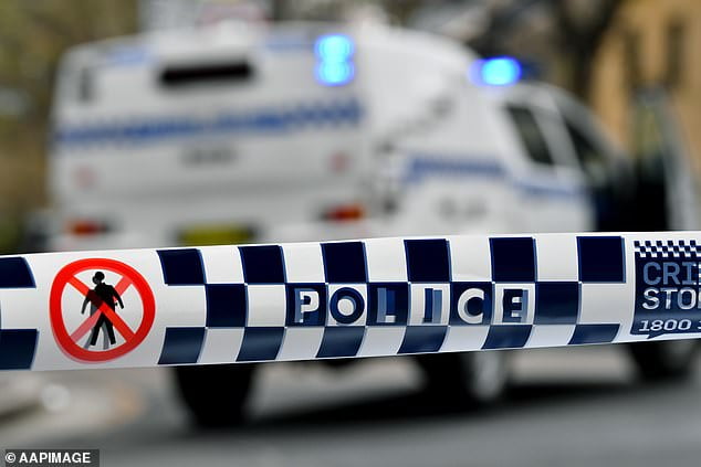 Newcastle House Set On Fire As NSW Police Serious Crime Squad Raids ...