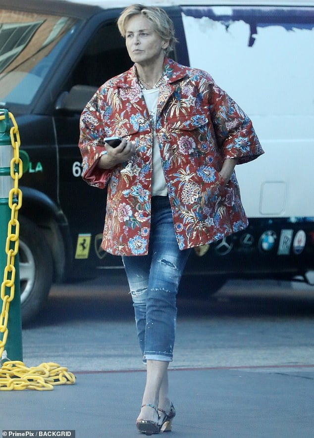 Sharon Stone, 64, looks youthful in a colorful floral-patterned jacket ...