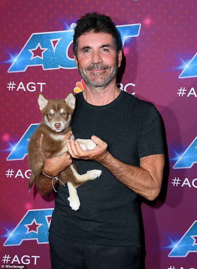 Simon Cowell poses with his new pet dog at America's Got Talent Sound