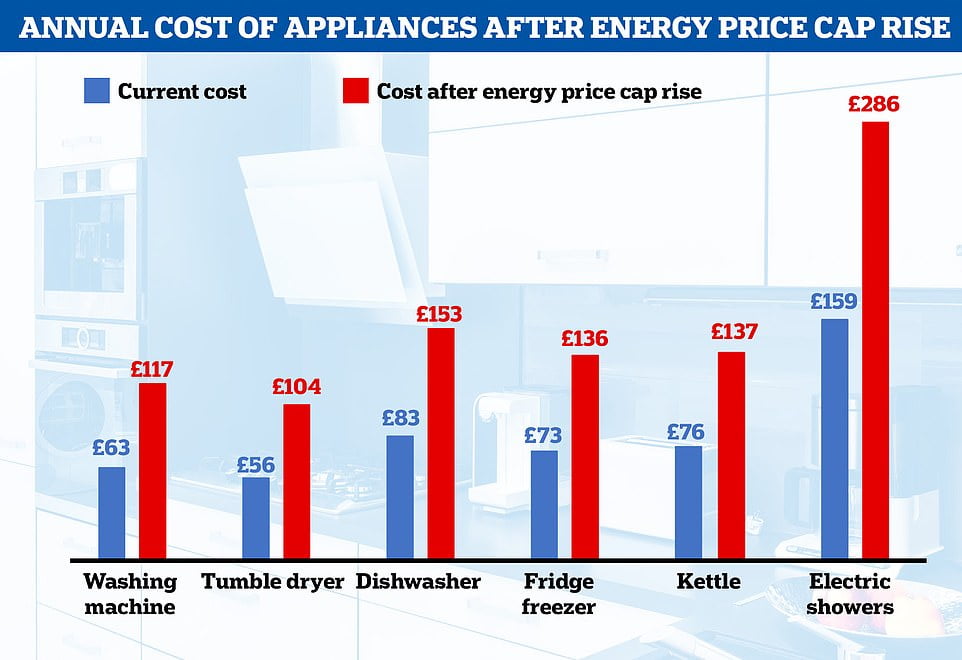 The powerhungry appliances set to DOUBLE your annual electricity bill