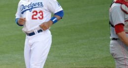 Does Bryan Abreu Have A Brother? Know If He's Is Related To Bobby Abreu