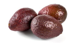 Plant protein-packed white bean avocado sandwich recipe