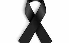 What Is Vincent Grucci Cause of Death?