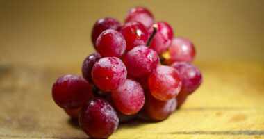 Red grapes FAQs: frequently asked questions and answers