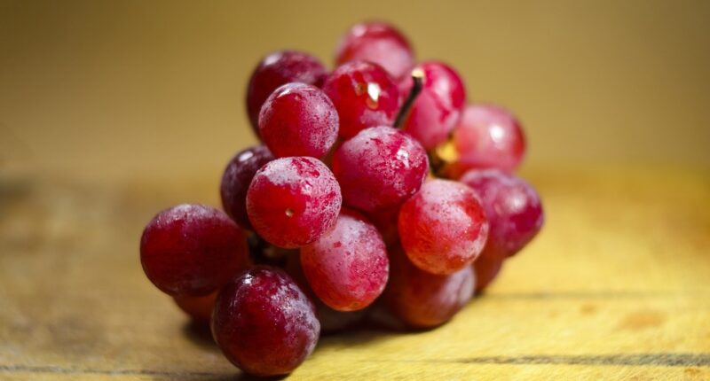 Red grapes FAQs: frequently asked questions and answers