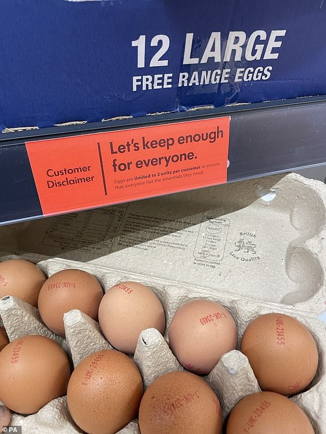 Egg crisis will last beyond CHRISTMAS Shortages will persist into 2023