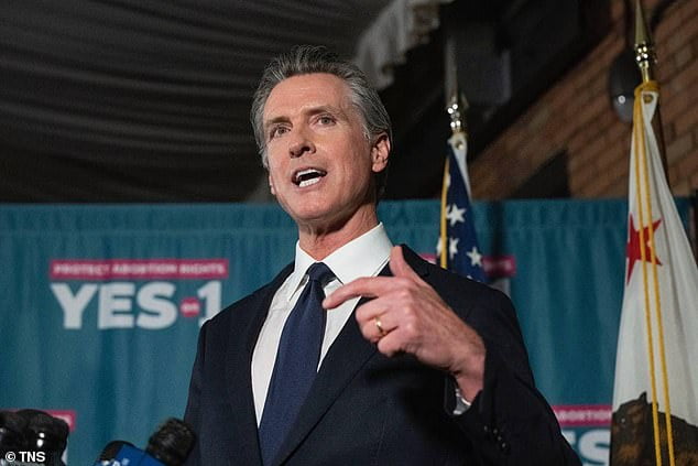 Members Of Newsom's Reparations Committee Have Slammed The US - Sound ...