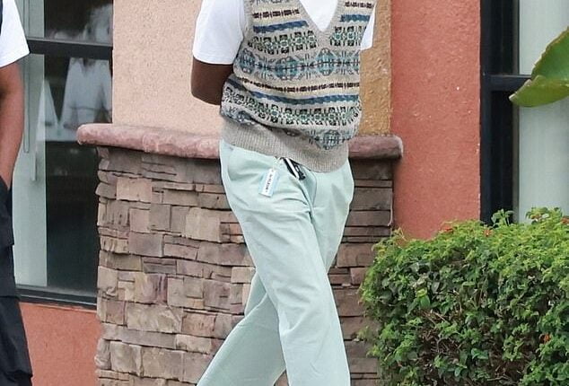 tyler the creator sweater vest