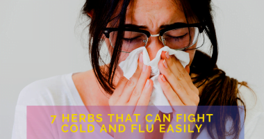 7 herbs that can fight cold and flu easily