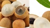 12 Longan Fruit Side Effects You Should Be Aware Of Before Eating It