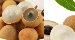 12 Longan Fruit Side Effects You Should Be Aware Of Before Eating It