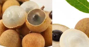 12 Longan Fruit Side Effects You Should Be Aware Of Before Eating It