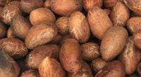 11 Incredible Ailments Bitter Kola Can Cure