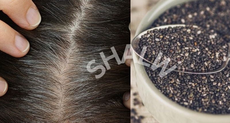 Benefits Of Chia Seeds For Hair: 6 Awesome Facts About This Superfood