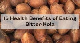 15 Health Benefits of Eating Bitter Kola
