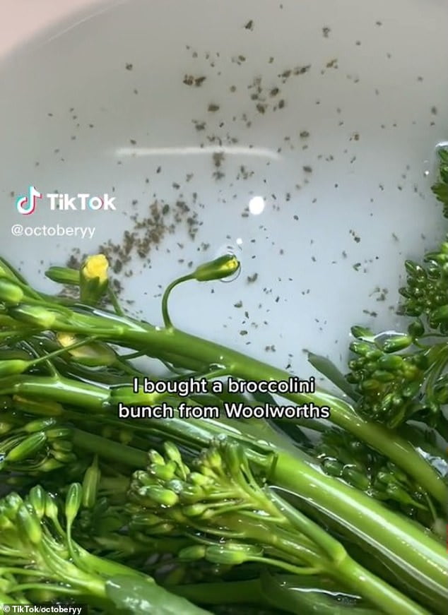 Woolworths broccolini infested with bugs horrifies shopper Sound