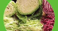 20 reasons you need to eat cabbage more often